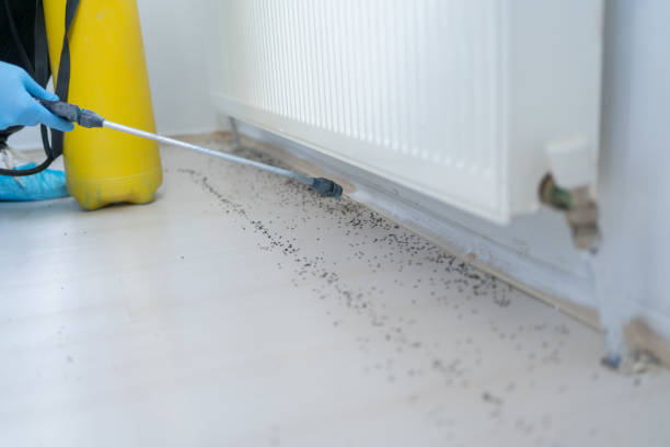 Best Ant Control Services  in Baraga, MI